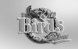 WILD BIRDS GALORE trademark