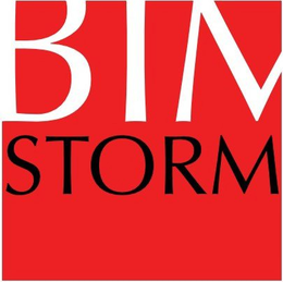 BIM STORM trademark