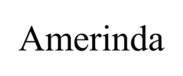 AMERINDA trademark