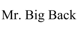 MR. BIG BACK trademark