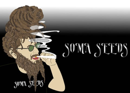 SOMA SEEDS SOMA SEEDS trademark