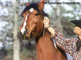 PET SOLUTIONS CORPORATION trademark