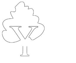 Y trademark
