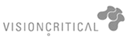 VISIONCRITICAL trademark