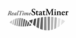 REAL TIME STATMINER trademark