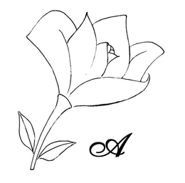 A trademark