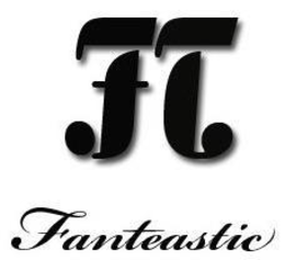 FT FANTEASTIC trademark