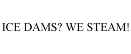 ICE DAMS? WE STEAM! trademark