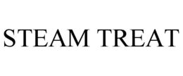 STEAM TREAT trademark