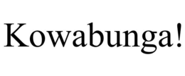 KOWABUNGA! trademark