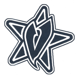 V trademark