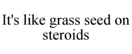 IT'S LIKE GRASS SEED ON STEROIDS trademark