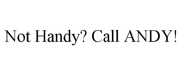 NOT HANDY? CALL ANDY! trademark