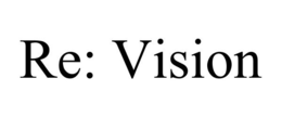 RE: VISION trademark
