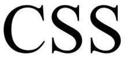 CSS trademark