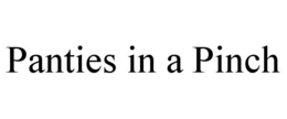 PANTIES IN A PINCH trademark