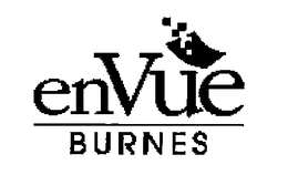 BURNES ENVUE trademark