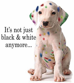 IT'S NOT JUST BLACK & WHITE ANYMORE... trademark