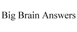 BIG BRAIN ANSWERS trademark
