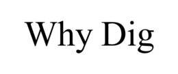 WHY DIG trademark