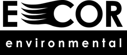 ECOR ENVIRONMENTAL trademark