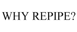 WHY REPIPE? trademark
