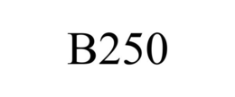 B250 trademark