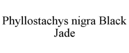 PHYLLOSTACHYS NIGRA BLACK JADE trademark