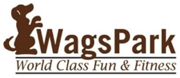 WAGSPARK WORLD CLASS FUN & FITNESS trademark