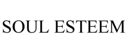 SOUL ESTEEM trademark