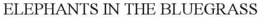 ELEPHANTS IN THE BLUEGRASS trademark