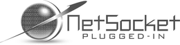NETSOCKET PLUGGED-IN trademark