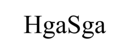 HGASGA trademark