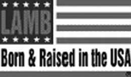 LAMB BORN & RAISED IN THE USA trademark