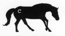 C trademark