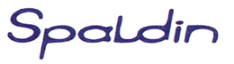 SPALDIN trademark