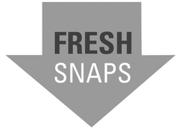FRESH SNAPS trademark