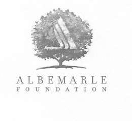 ALBEMARLE FOUNDATION trademark
