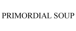 PRIMORDIAL SOUP trademark