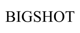 BIGSHOT trademark