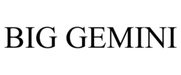 BIG GEMINI trademark