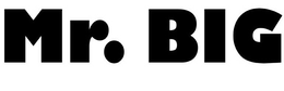 MR. BIG trademark
