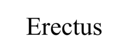 ERECTUS trademark