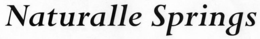 NATURALLE SPRINGS trademark