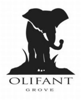 OLIFANT GROVE trademark