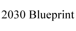 2030 BLUEPRINT trademark