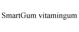 SMARTGUM VITAMINGUM trademark