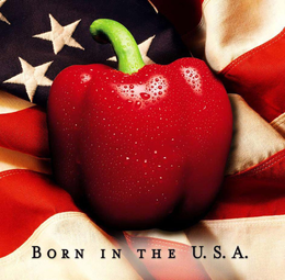 BORN IN THE U.S.A. trademark