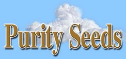 PURITY SEEDS trademark