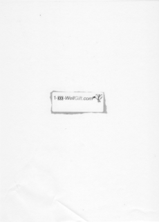 1-888-WELLGIFT.COM trademark